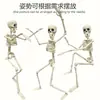 Halloween Hombre Esqueleto Pequeño 40cm Plástico Modelo Artificial Fiesta Ajustable Accesorios Decorativos Colgante Pequeño Cráneo Colgante Fantasma