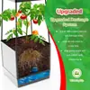 Caixas de Plantio para Horta Elevada & Treliça, Gaiola para Tomate & Vaso de Plantio Suporte de Plantas Externo 59" com Auto-irrigação para Vegetais de Trepadeira, Flores, Videiras, Plantas, Cinza