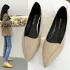 Sapatos Slip-On Versáteis da Moda para Celebridades da Internet, Novo Estilo Primavera/Verão 2025, Sapatos Elegantes de Salto Baixo para Mulheres Combinarem com Saias, Sapatos Delicados com Aspecto de Fada