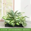 Combinación de paisajismo con plantas verdes artificiales, jardineras, maceteros, decoraciones de flores artificiales, decoración de paisaje con plantas artificiales para escaparates de centros comerciales, interior y exterior