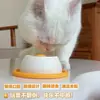 Juguete lamible de comida para mascotas transfronterizo para autoentretenimiento y alivio del aburrimiento, plato de alimentación lenta, juguete dental para gatos, juguete para gatos antivuelco al por mayor