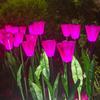 Lámpara de tulipán LED lámpara de decoración de linterna de simulación lámpara de ramo luz nocturna planta verde venta al por mayor lámpara de decoración de linterna navideña