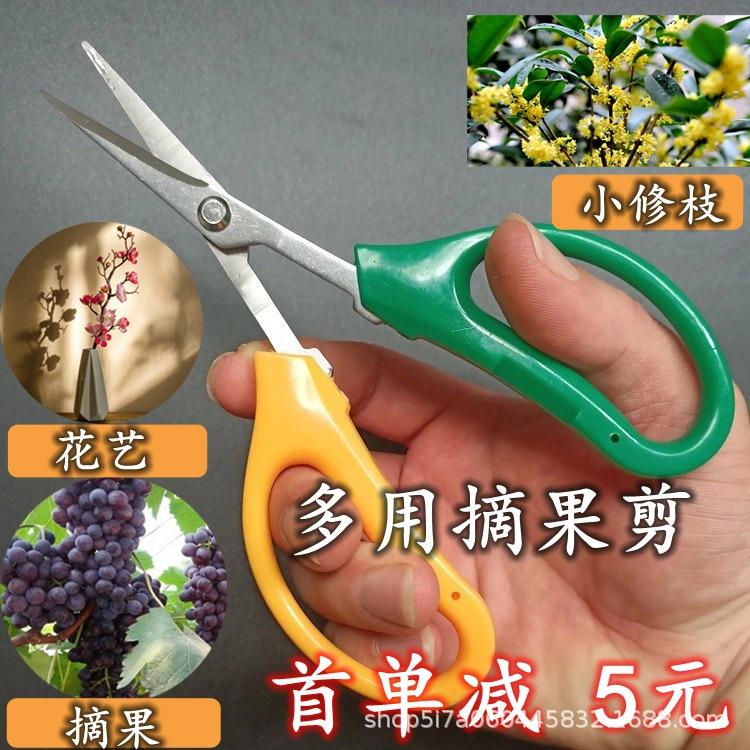 摘果剪刀.jpg