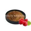 Polvo de Frambuesa, Extracto de Frambuesa, Polvo Soluble en Agua, Materia Prima de Grado Alimenticio, Listo para Entrega con Envío Gratis