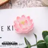 Lindo Soporte de Notas Acrílico de Frutas para Estudiantes Creativo Lindo Dibujo Animado Adornos de Escritorio Soporte para Tarjetas de Mensaje y Foto