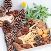 Flores Secas Piñas Decoración Hecha a Mano para Jardín de Infancia Materiales Vegetales Naturales Estilo Bosque Accesorios para Fotografía Cáscaras de Frutas Ramas Pequeños Adornos
