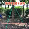 Estrutura de Suporte para Árvore de Tubo de Aço Galvanizado Aro de Ferro Estrutura de Suporte para Mudas à Prova de Vento Fixador de Suporte para Árvore Paisagismo de Jardim