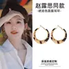 Brincos Retrô Marrom Maillard Populares para Mulheres, Estilo Hong Kong, Luxo Acessível, Brincos de Alta Qualidade, Brincos do Mesmo Estilo da Celebridade da Internet