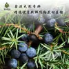 Enebro Rocío Puro 1kg Cabeza Extracto Vegetal Saturado Líquido Base Materia Prima Cosmética Tónico Spray de Agua para el Cuidado de la Piel