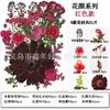 Flor Seca Estampada Al Por Mayor Espécimen de Planta Hecho a Mano DIY Bolsa de Material Marco de Fotos Decorativo Gel Goteando Funda para Teléfono Móvil Lámpara de Mesa de Flores