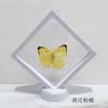 Especímenes de mariposas verdaderas han extendido sus alas enseñanza de insectos suspensión de película pe transparente adornos pequeños en caja decoración fotográfica regalos