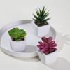 Inverno Mang Mini Simulação Suculenta em Vaso Pequeno Bonsai Bacia Cerâmica Quadrada Decoração de Casa Sala de Estar Interna Mesa