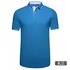 Camisa Polo de Solapa de Verano Camisa Publicitaria Personalizada Estampado de logo Ropa de Trabajo Camiseta de Manga Corta Ropa de Grupo para Hombres Bordado de Ropa de Trabajo