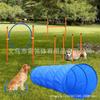 Traje de treinamento de agility para cães, argola de salto para treinamento de animais de estimação, obstáculo, vara em espiral, equipamento de treinamento de pista de obstáculos para cães