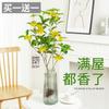 Sementes de Osmanthus Hidropônico em Vasos com Botões e Fragrância Forte para Interior, Escritório, Mesa, Cultivo em Água o Ano Todo