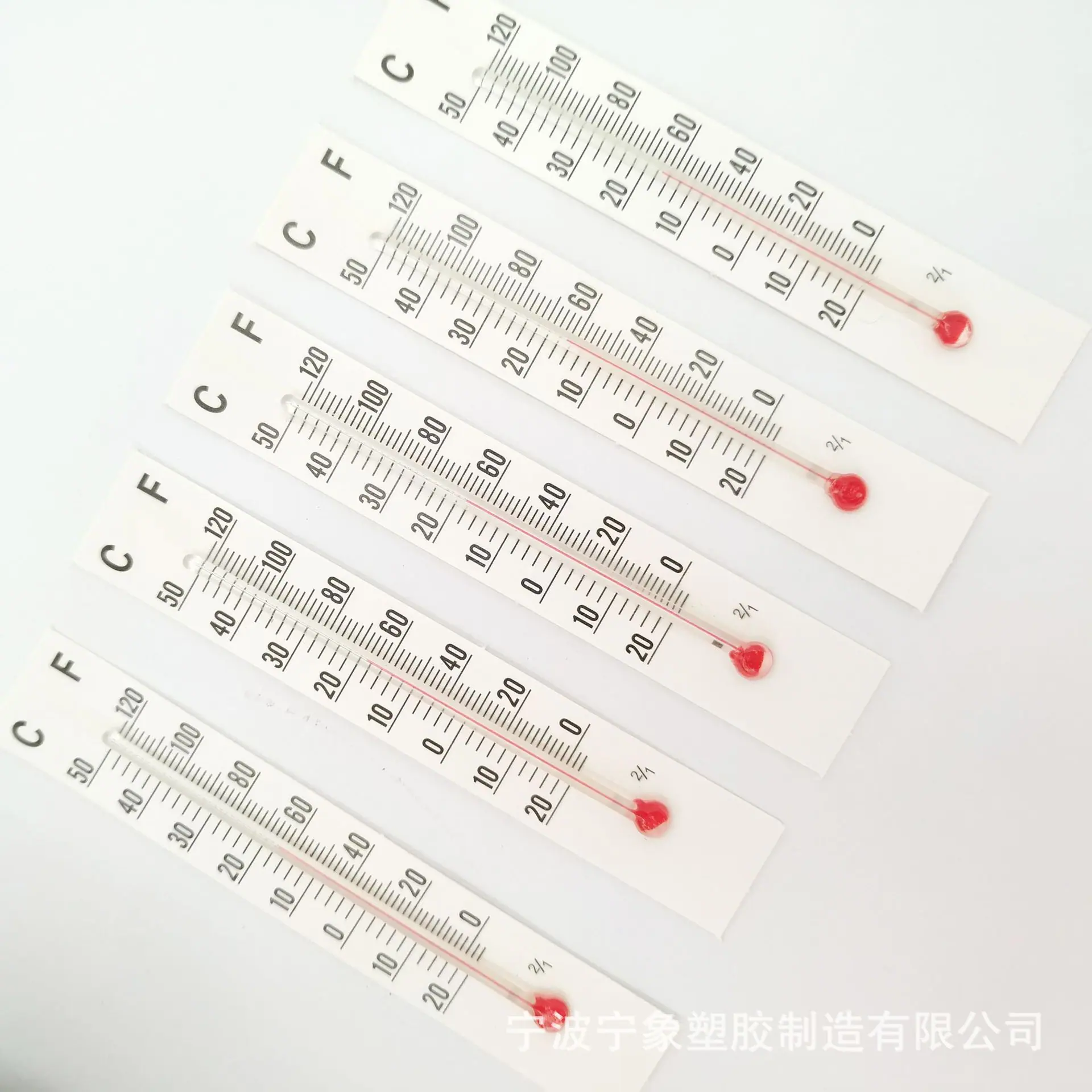 纸板8.0