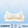 Ropa Interior Transpirable Fresca de Verano Hua Yu Ze para Mujeres Pecho Pequeño Reúne Soporte sin Varillas Anti-Caída para los Lados Sujetador de Encaje para Mujeres