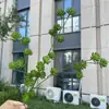 Outono 2026 Plantas Verdes Artificiais Casamento Decoração de Casa Plantas Verdes Falsas Atacado