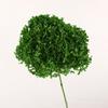 Hortênsia Flor Eterna Flor Seca Anna Wood Hortênsia DIY Materiais Florais Decoração de Arranjo de Flores para Casa Arte Floral de Casamento Decoração Suave