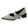Sapatos Mary Jane Retrô de Bico Fino e Boca Rasa para Mulheres, Novo Estilo Primavera e Outono 2026, Salto Médio Estilo Francês, Adequados para Combinar com Saias, Sapatos de Couro com Salto Grosso