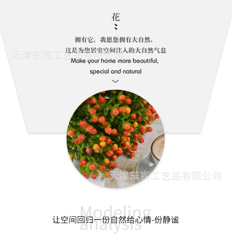 详情_05.png