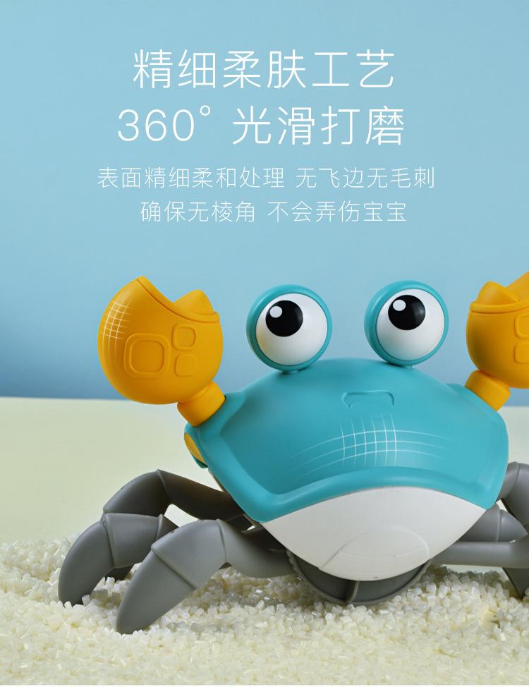 水陆螃蟹