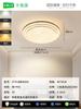 Lámpara de Techo Grand View Garden Luz de Sala de Estar Lámpara de Lujo Moderna Minimalista Lámpara Creativa de Diseño Nórdico Lámpara de Dormitorio Lámpara de Habitación 461L