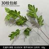 Decoración de Flores Artificiales Verdes Material de Flores de Hoja de Manzana Flor Exterior Planta Verde Hermoso Arreglo Chen Simulación de Hoja de Tortuga Arte Floral para Boda