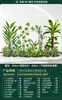 Paisagismo de Combinação de Plantas Verdes sob a Escada, Paisagem Tropical com Plantas Artificiais, Árvores Artificiais, Decorações de Plantas em Vasos para Interior