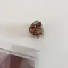Versión Coreana Lindo Mini Pinza de Acetato Pequeña Pinza para el Cabello de Princesa Dulce Accesorio para el Flequillo de la Frente para Mujeres