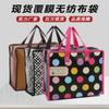 Bolsa de Viaje, Linda, Ligera, de Gran Capacidad, Bolsa de Viaje Portátil, Bolsa de Equipaje No Tejida para Corta Distancia, Bolsa de Almacenamiento Portátil
