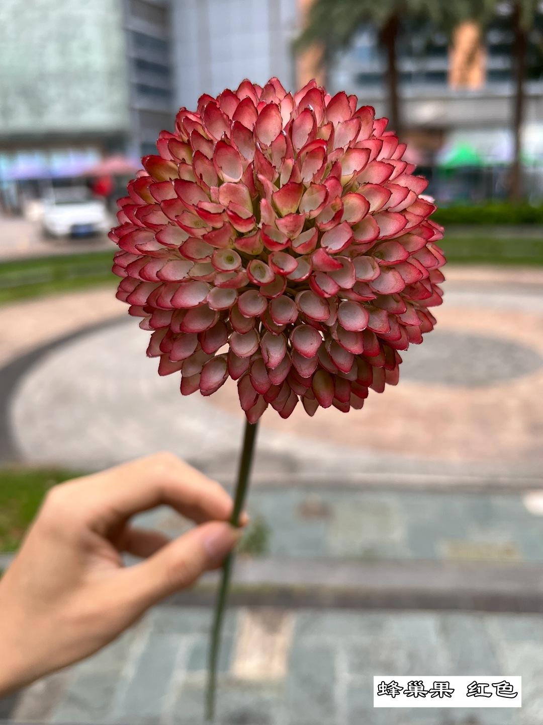 微信图片_20220909201833.jpg
