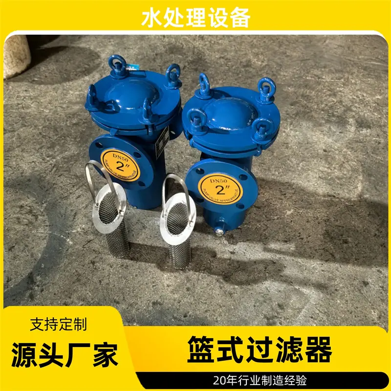 篮式过滤器 (27)