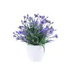 Planta de Lirio de Agua de Plástico Artificial en Maceta Césped Pequeño Estilo Ins Decoración de Planta Verde Planta Verde de Mesa para Vitrina Interior Flor Artificial