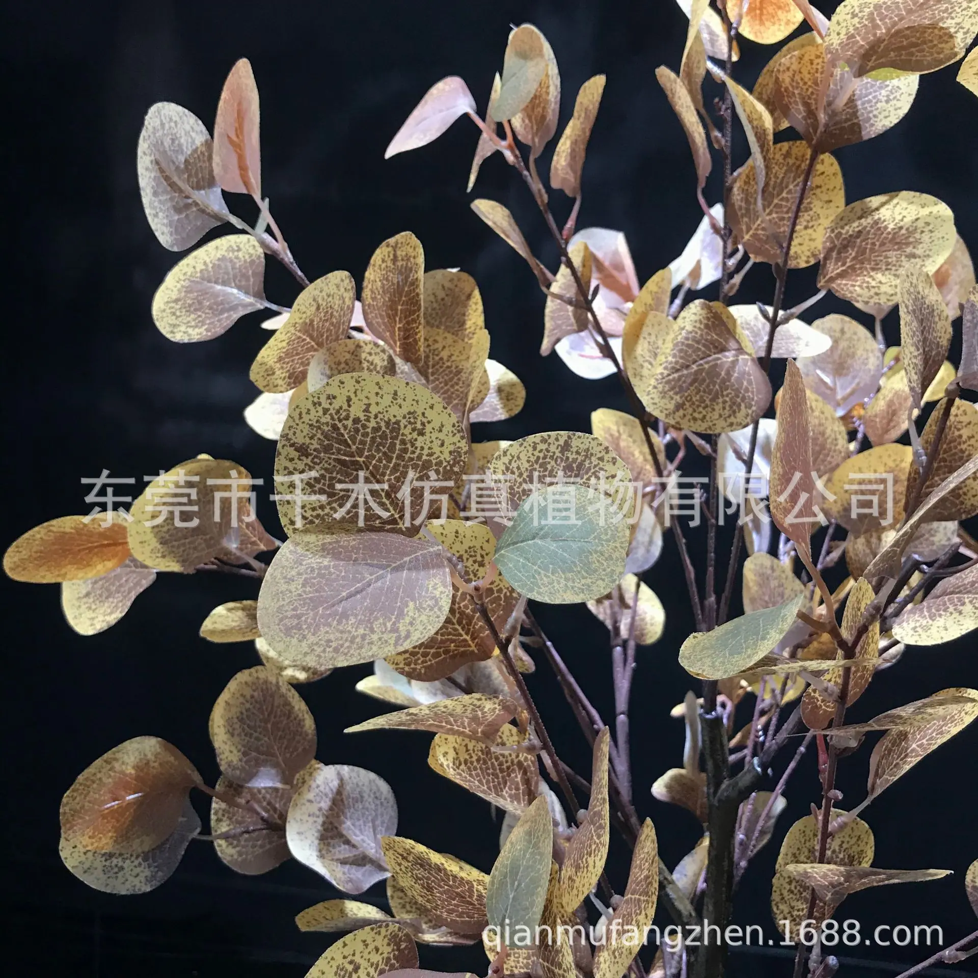 微信图片_2021121114342316