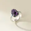 Anillo Nalan Plata Pura 990 Exquisito Diseño de Nicho Elegante Moneda de Cobre Plateado Tailandés Amatista Pixiu R03504