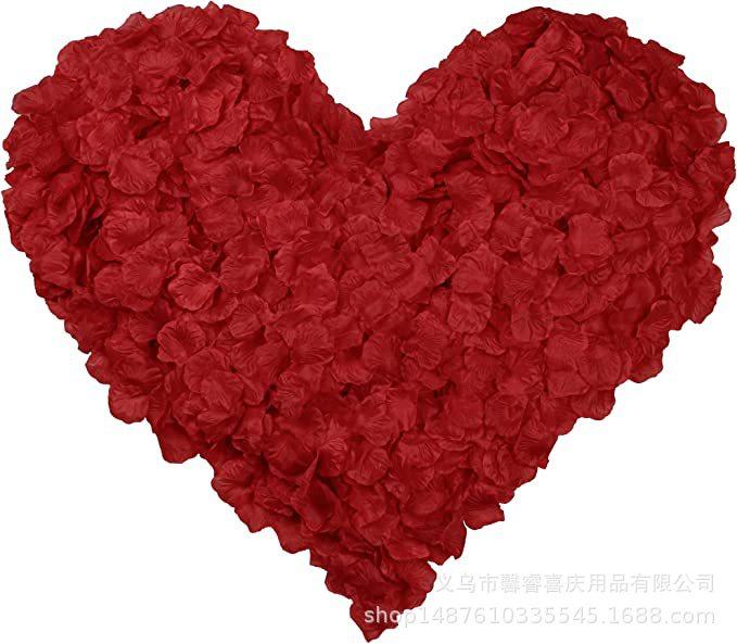 71DZZs8jrIL._AC_SX679_