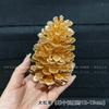 Promoción flor artificial de eucalipto hoja de ginkgo flor anual al por mayor eucalipto dorado hoja dorada arreglo floral para el hogar