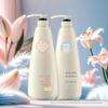 High-end 300 ml500ml/750ml hotel Imprensa chuveiro gel shampoo frasco Loção frasco PE novo frasco