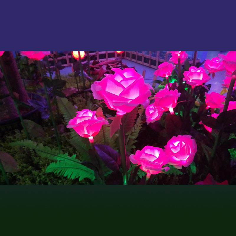 IMG_9611 00 800 800.jpg