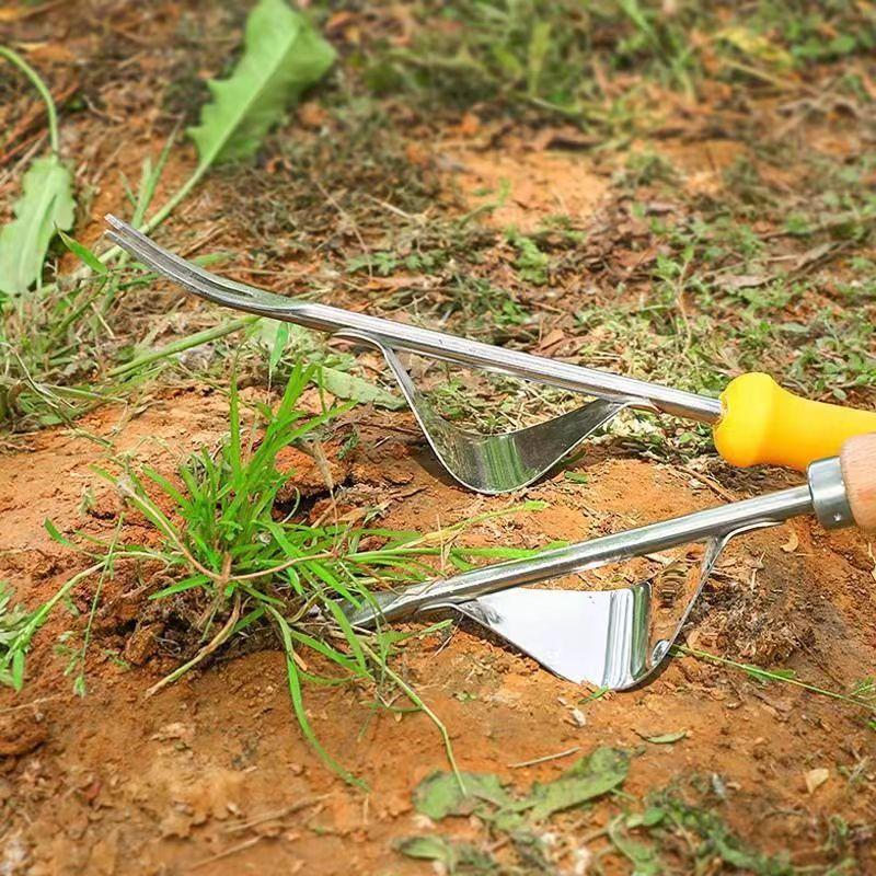 微信图片_20230310162953