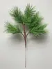 Galhos de pinho com frutos galhos de pinho falsos paisagem de pinho agulhas de pinho pinho negro galhos de cipreste pinho de boas-vindas árvore de Natal cavalinha grande pinho