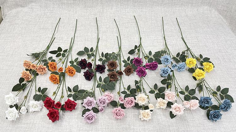 IMG_E7245 - 副本 (2).JPG