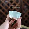Mini Suculenta Fofa Planta Verde Controle Vaso Miniatura Muito Pequeno Cor Branca Embrião