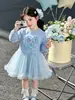 Vestido sudadera estilo coreano de Elsa para niñas, nueva colección otoño 2026, vestido de princesa de malla de calidad de exportación, ropa para niños, disponible para dropshipping