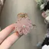 Mini Presilha de Cabelo Flor de Pérola de Cristal Exquisita e Compacta, Presilha de Princesa para a Testa, Acessório de Cabelo Presilha Doce e Fofa Estilo Coreano