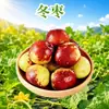 Jujubes de invierno Shaanxi Dali, disponibles en tamaños de 1/2/3/ 2 kg, crujientes, dulces, frescos, fruta de tamaño mediano-grande, entrega directa desde el huerto, caja de regalo, fruta fresca