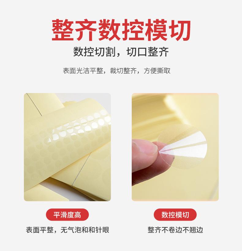 透明龙_06.jpg