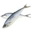 Mariscos del Mar del Norte, Pescado Salado Grande y Pequeño, Productos Acuáticos Secos, Exhibición de Puesto, Exposición, Jurel Seco, Pez Gelatina Seco, Caballa a Granel 0.5 kg