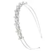Amazon oferta caliente diadema europea y americana flor de ciruelo pedrería diadema nupcial tocado flor estrellada hoja fina diadema